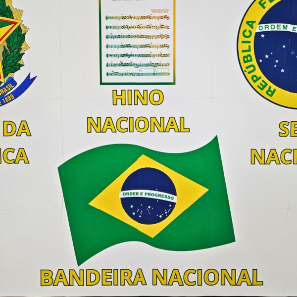 Painel - Dia dos Símbolos Nacionais - Image 6